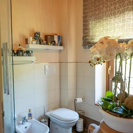 Cathedral-wellness-stay Sauna & Massage * Pescia