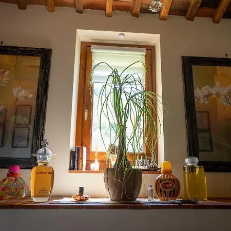 Cathedral-luxury-stay Sauna & Massage Pescia