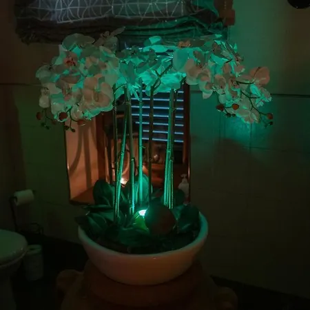 Cathedral-wellness-stay Sauna & Massage Apartment